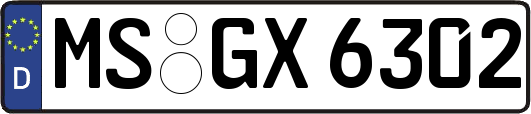 MS-GX6302