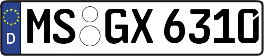MS-GX6310