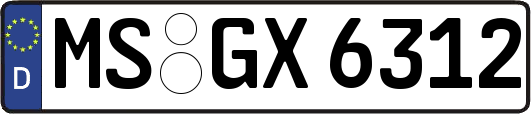 MS-GX6312