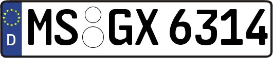 MS-GX6314