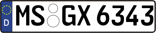 MS-GX6343