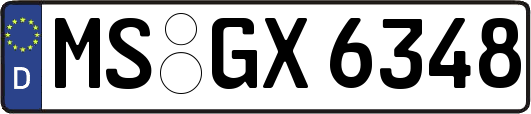 MS-GX6348