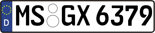 MS-GX6379