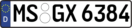 MS-GX6384
