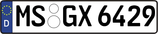MS-GX6429