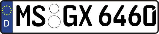 MS-GX6460