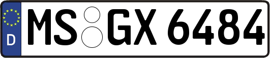 MS-GX6484