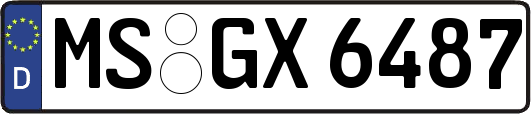 MS-GX6487
