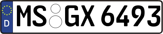 MS-GX6493