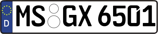 MS-GX6501