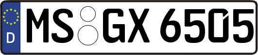 MS-GX6505