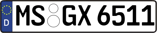 MS-GX6511