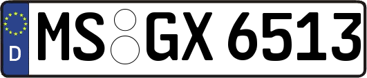 MS-GX6513