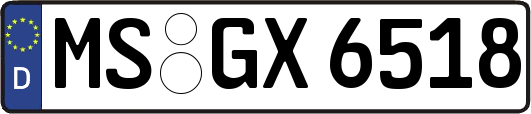 MS-GX6518