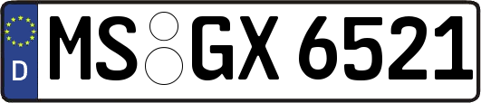 MS-GX6521