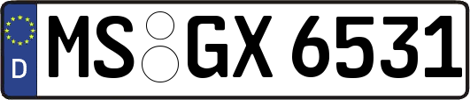 MS-GX6531