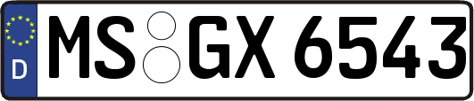 MS-GX6543