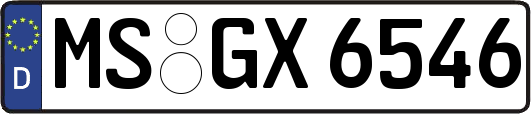MS-GX6546