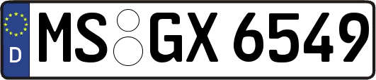MS-GX6549