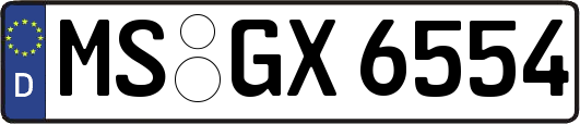 MS-GX6554