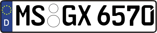 MS-GX6570