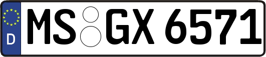 MS-GX6571