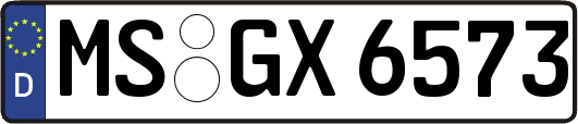 MS-GX6573
