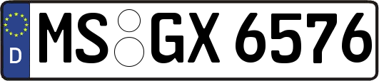 MS-GX6576