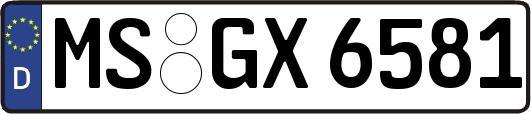 MS-GX6581