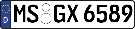 MS-GX6589