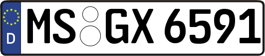 MS-GX6591