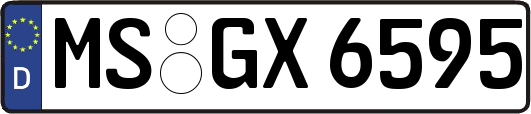 MS-GX6595