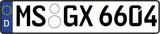 MS-GX6604