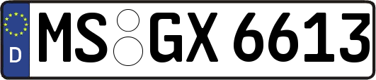 MS-GX6613