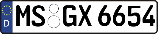 MS-GX6654