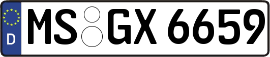MS-GX6659