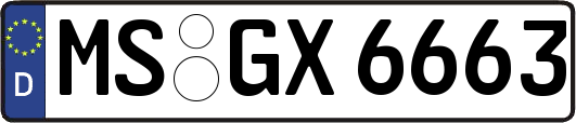 MS-GX6663