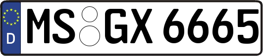 MS-GX6665