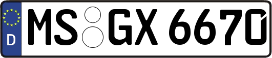 MS-GX6670