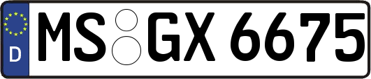 MS-GX6675