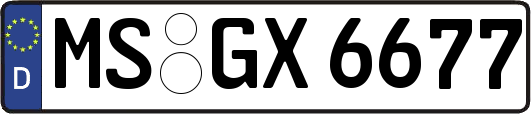 MS-GX6677
