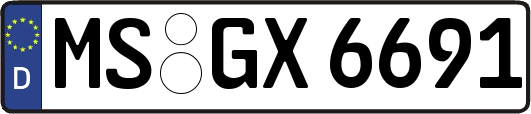 MS-GX6691