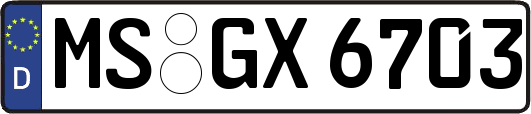 MS-GX6703