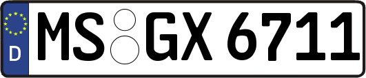 MS-GX6711