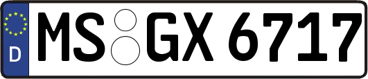 MS-GX6717
