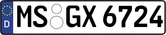 MS-GX6724