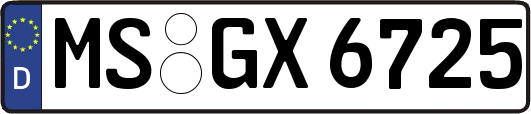 MS-GX6725