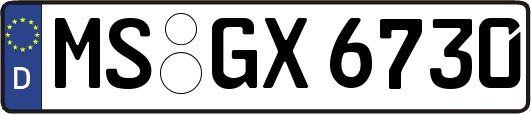 MS-GX6730