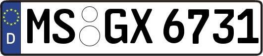 MS-GX6731