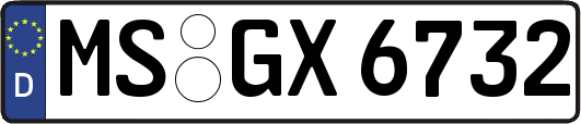 MS-GX6732